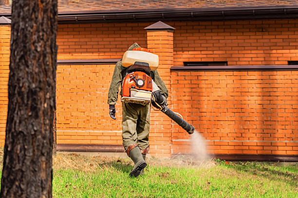 Bed Bug Clearance Verification and Documentation in Siesta Key